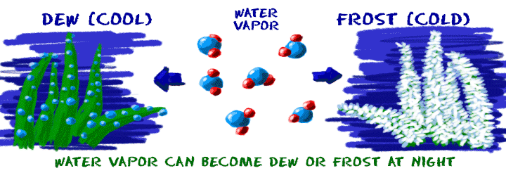 O vapor de água pode se transformar em orvalho (líquido) ou geada (sólido) durante a noite.