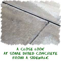 A close look at some dried concrete sidewalk.