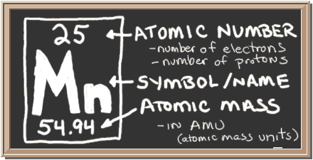 Chalkboard with description of periodic table notation for Manganese.  There is a square with three values in it.  Top has atomic number, center has element symbol, and bottom has atomic mass value.  The atomic number equals number of protons and also the number of electrons in a neutral atom.  Atomic mass equals the mass of the entire atom.